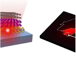Ultra-thin light emitting diodes