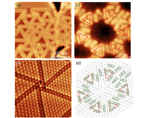 Organic porous structures on 2D defect networks
